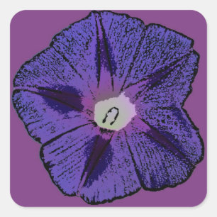 Morning Glory Abstract Square Sticker