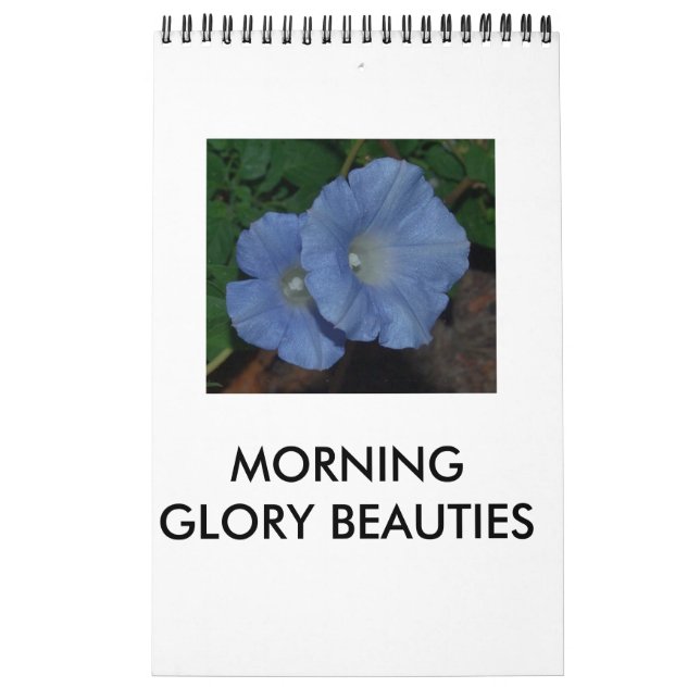 MORNING GLORY BEAUTIES CALENDAR (Cover)