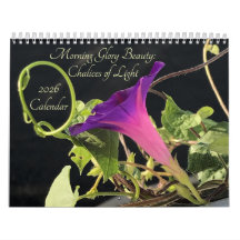Morning Glory Beauty:  Chalices of Light 2026