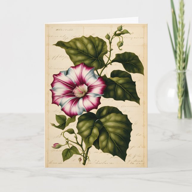 Morning Glory Botanical Illustration Birthday Card (Front)