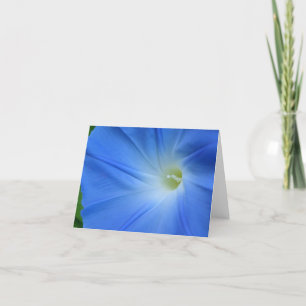 Morning glory card