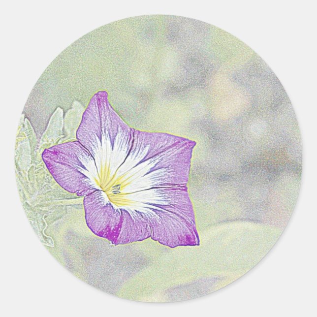 Morning Glory Classic Round Sticker (Front)