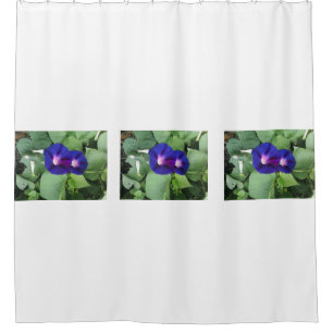 Morning Glory Flower Shower Curtain