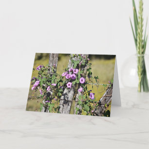 Morning Glory Flowers on Country Fence Note Card