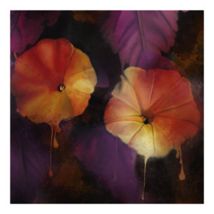 Morning Glory Flowers Photo Print