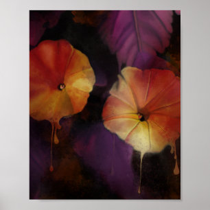 Morning Glory Flowers Poster