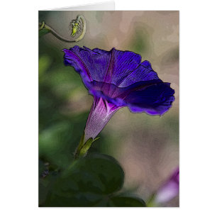 Morning Glory Greeting Card Blank