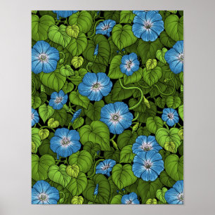 Morning glory in blue and green poster