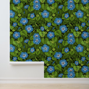 Morning glory in blue and green wallpaper