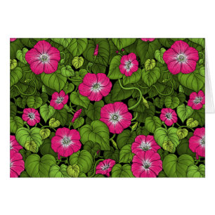 Morning glory in pink and green