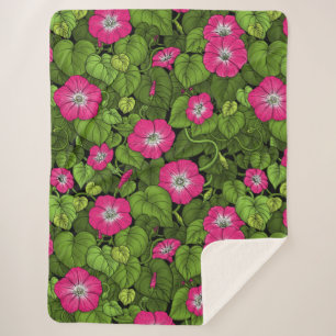 Morning glory in pink and green sherpa blanket