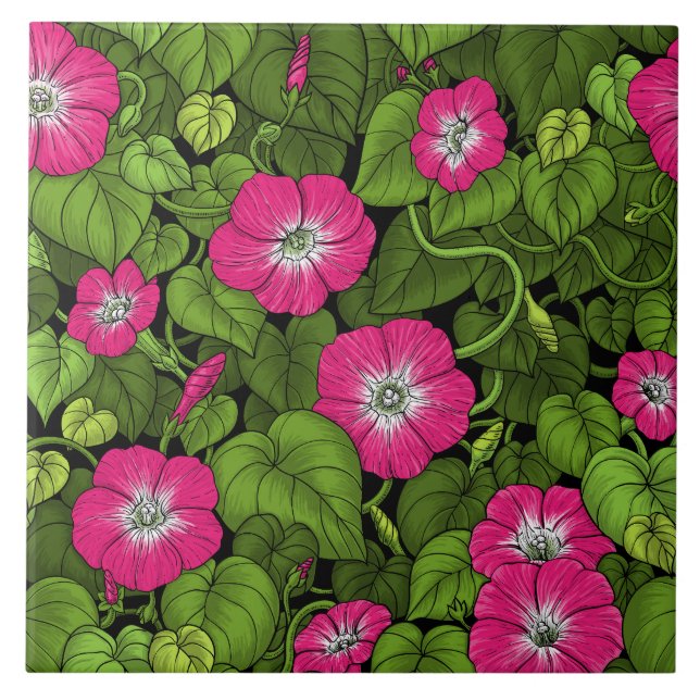 Morning glory in pink and green tile (Front)