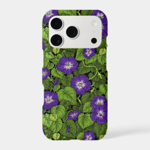 Morning glory in purple and green