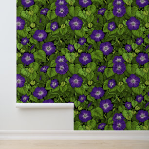 Morning glory in purple and green wallpaper