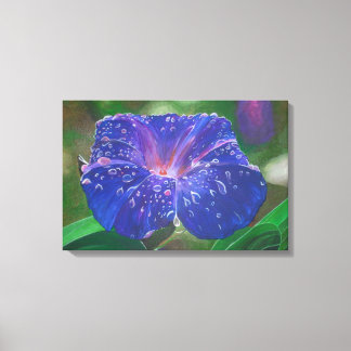 Morning Glory (Ipomoea Purpurea) Petals and Dew Dr Canvas Print