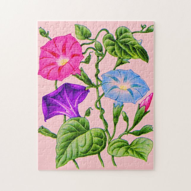 morning glory jigsaw puzzle (Vertical)