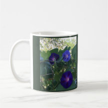 Morning Glory Kaleidoscope