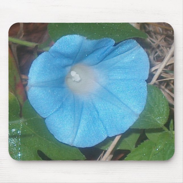 Morning Glory Mouse Pad (Front)