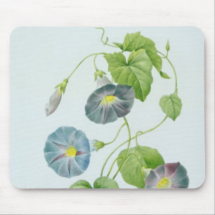 Morning Glory Mouse Pad