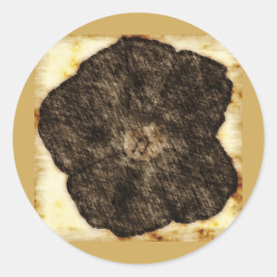 Morning Glory Old Time Sketch Classic Round Sticker