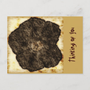 Morning Glory Old Time Sketch Postcard