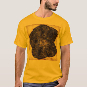 Morning Glory Old Time Sketch T-Shirt