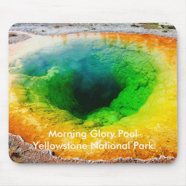 Morning Glory Pool Mousepad (Front)