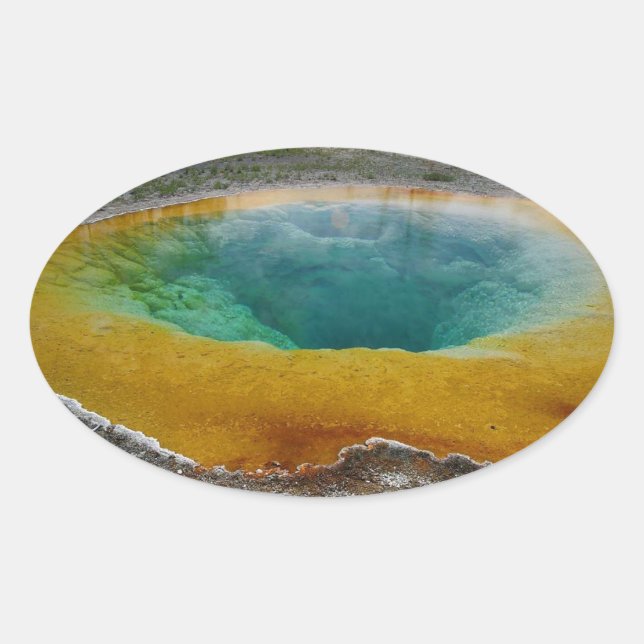 Morning Glory Pool Oval Stickers (Front)
