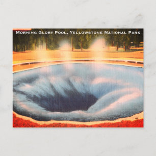 Morning Glory Pool, Yellowstone National Park Holiday Postcard