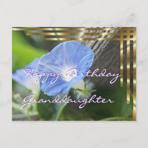 Morning Glory Postcard for any occasion- customise