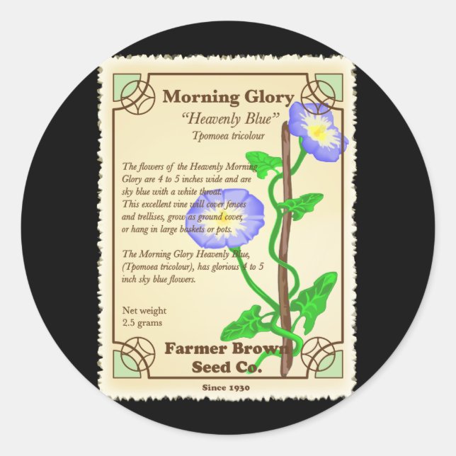 Morning Glory Seed Packet Classic Round Sticker (Front)