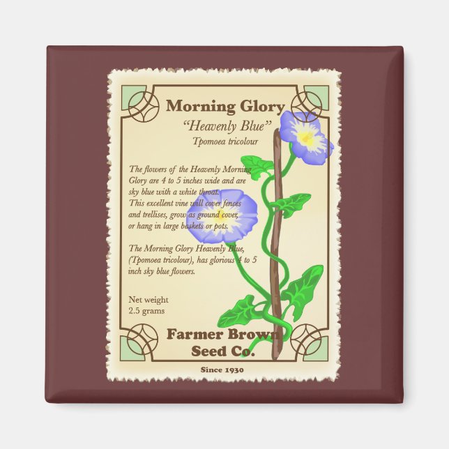 Morning Glory Seed Packet Magnet (Front)