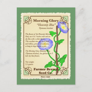 Morning Glory Seed Packet Postcard
