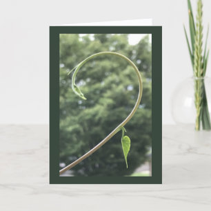 Morning Glory Tendril and Leaf Blank Card