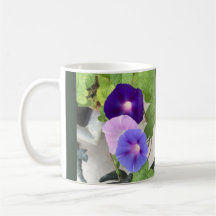 Morning Glory Trio