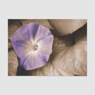 Morning Glory Vintage Floral Purple Sepia Flower Tissue Paper