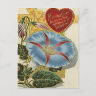 Morning Glory VIntage Valentine Holiday Postcard