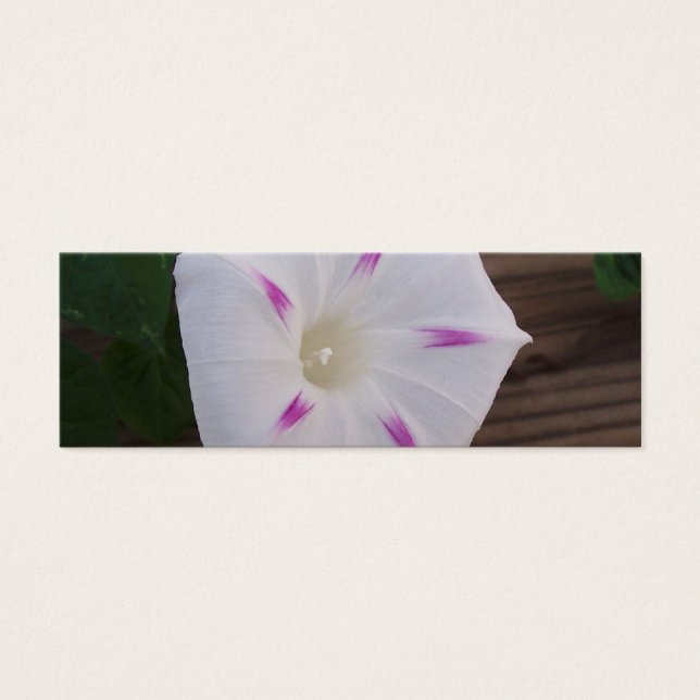 Morning Glory White Bookmark (Front)