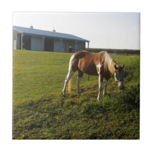 Morning Graze Tile