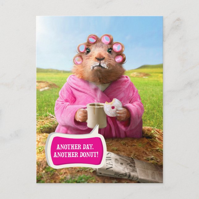 Morning Groundhog with Breakfast Doughnut and Coff Postcard (Front)