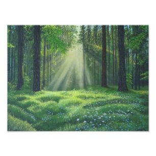 "Morning Has Broken" Photo Print