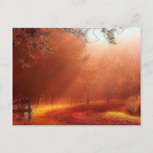 Morning Has Broken Postcard