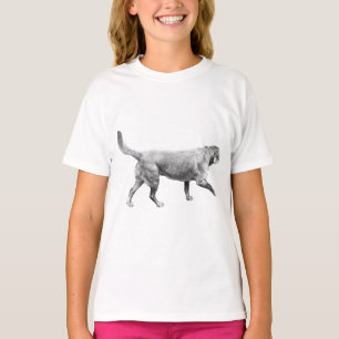 morning hush motion T-Shirt