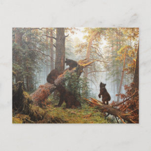 Morning in a pine forest postcard