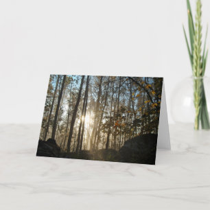 Morning in the Pennsylvania Woods Card