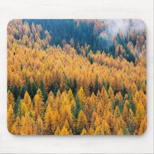 Morning Light at the Beach Tybee Island Mouse Pad