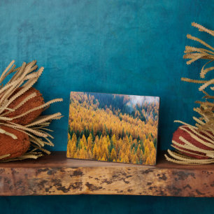 Morning Light at the Beach   Tybee Island Plaque