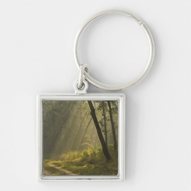 Morning light beams through trees in jungle key ring (Front)