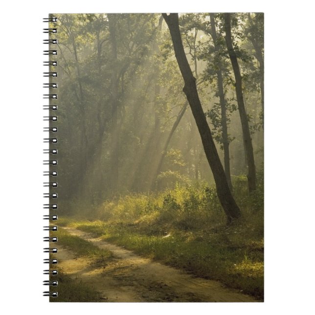 Morning light beams through trees in jungle spiral notebook (Front)
