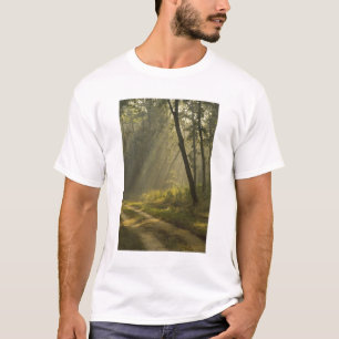 Morning light beams through trees in jungle T-Shirt